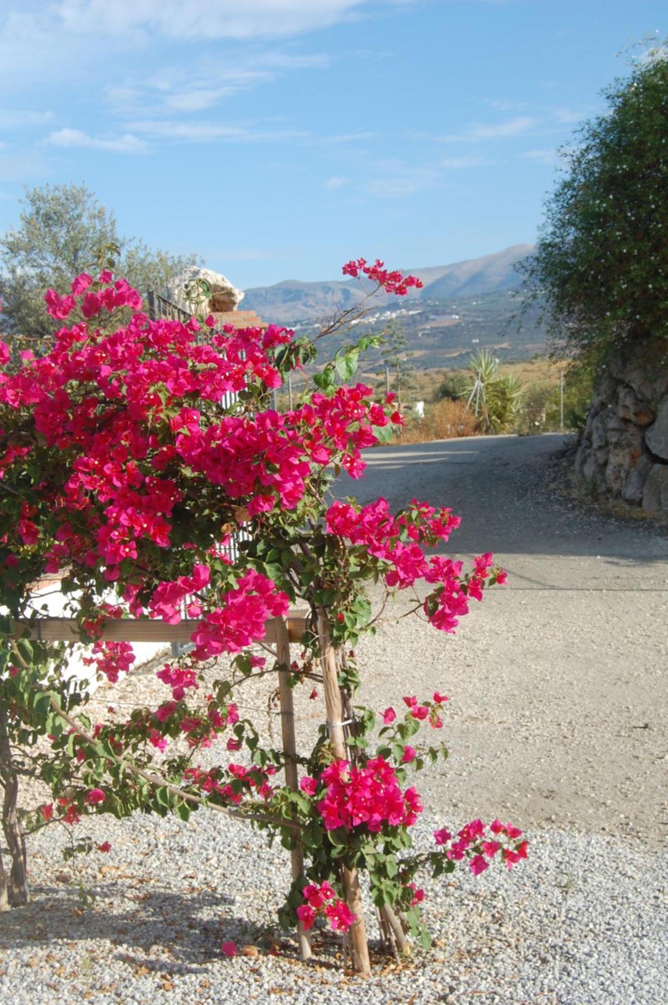 Holiday home Casa Herrera's Quiet Escape *